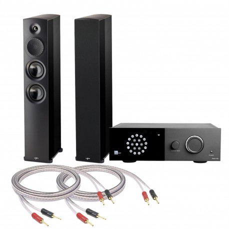KIT STEREO LYNGDORF TDAI-1120 + PARADIGM PREMIER 700F