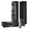 KIT STEREO MAGNAT MR-780 Y SIGNATURE 507 50TH