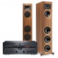 KIT STEREO MAGNAT MA-900 Y MARTIN LOGAN F2