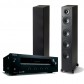 KIT STEREO ONKYO TX8220 PARADIGM 6000F